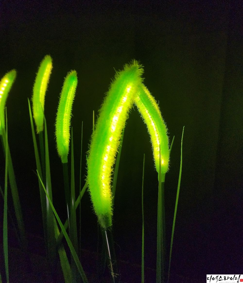 LED강아지풀