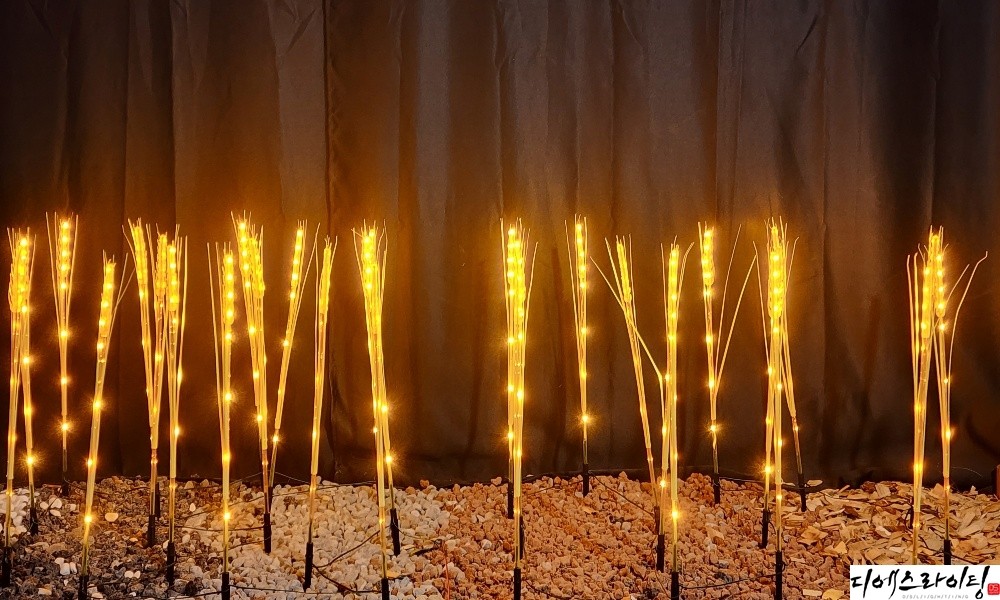 LED보리