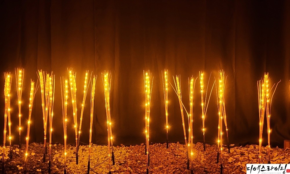 LED보리