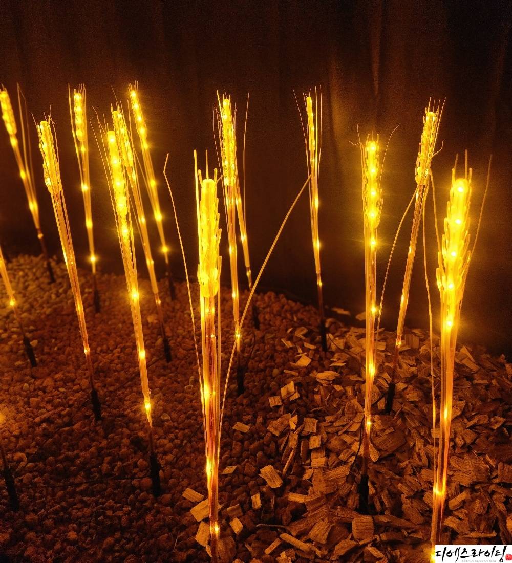 LED보리