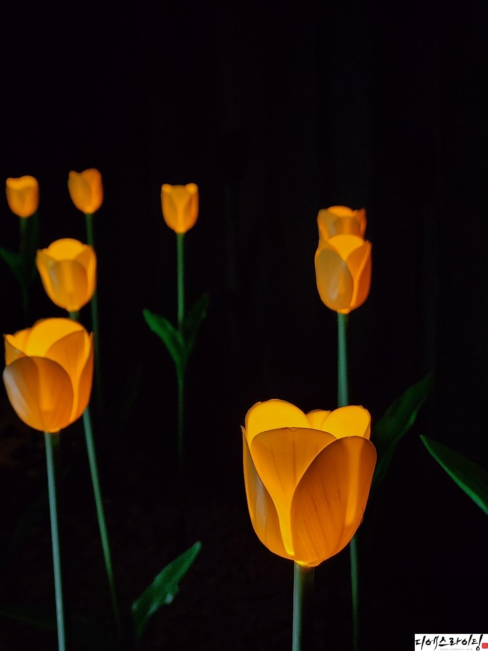 LED