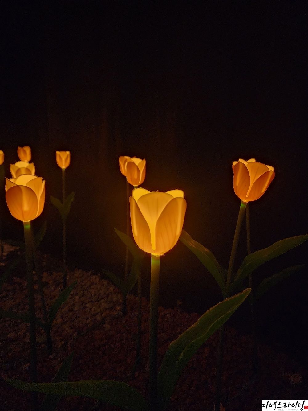 LED