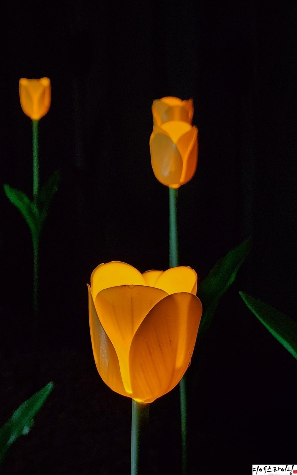 LED