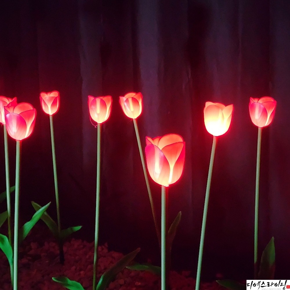 led빨간튤립