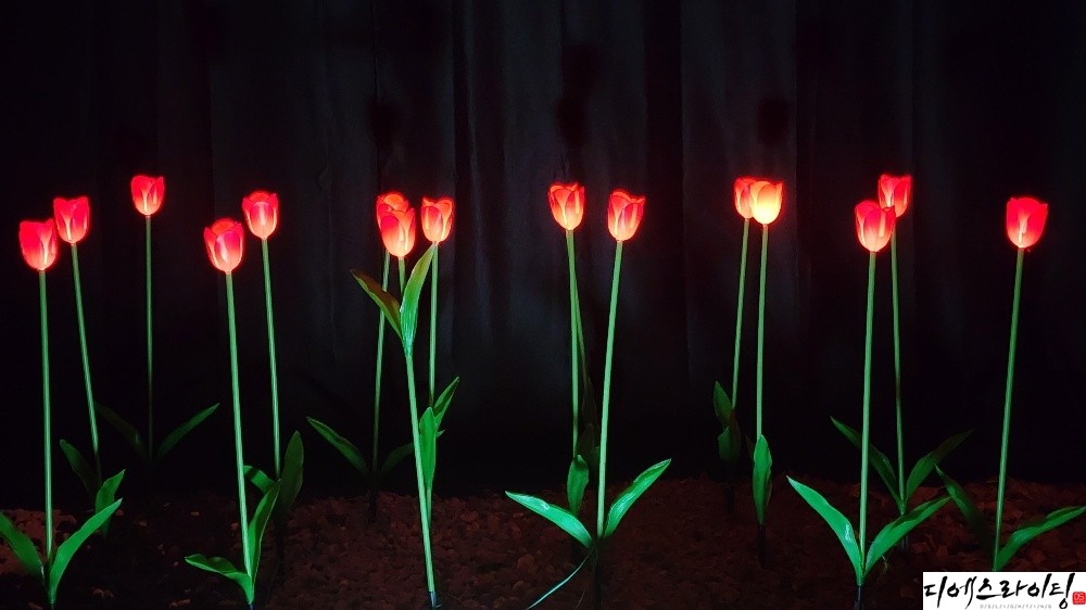 led빨간튤립