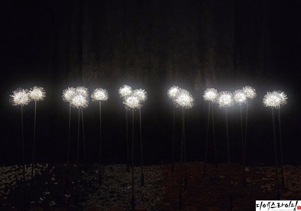 led알리움