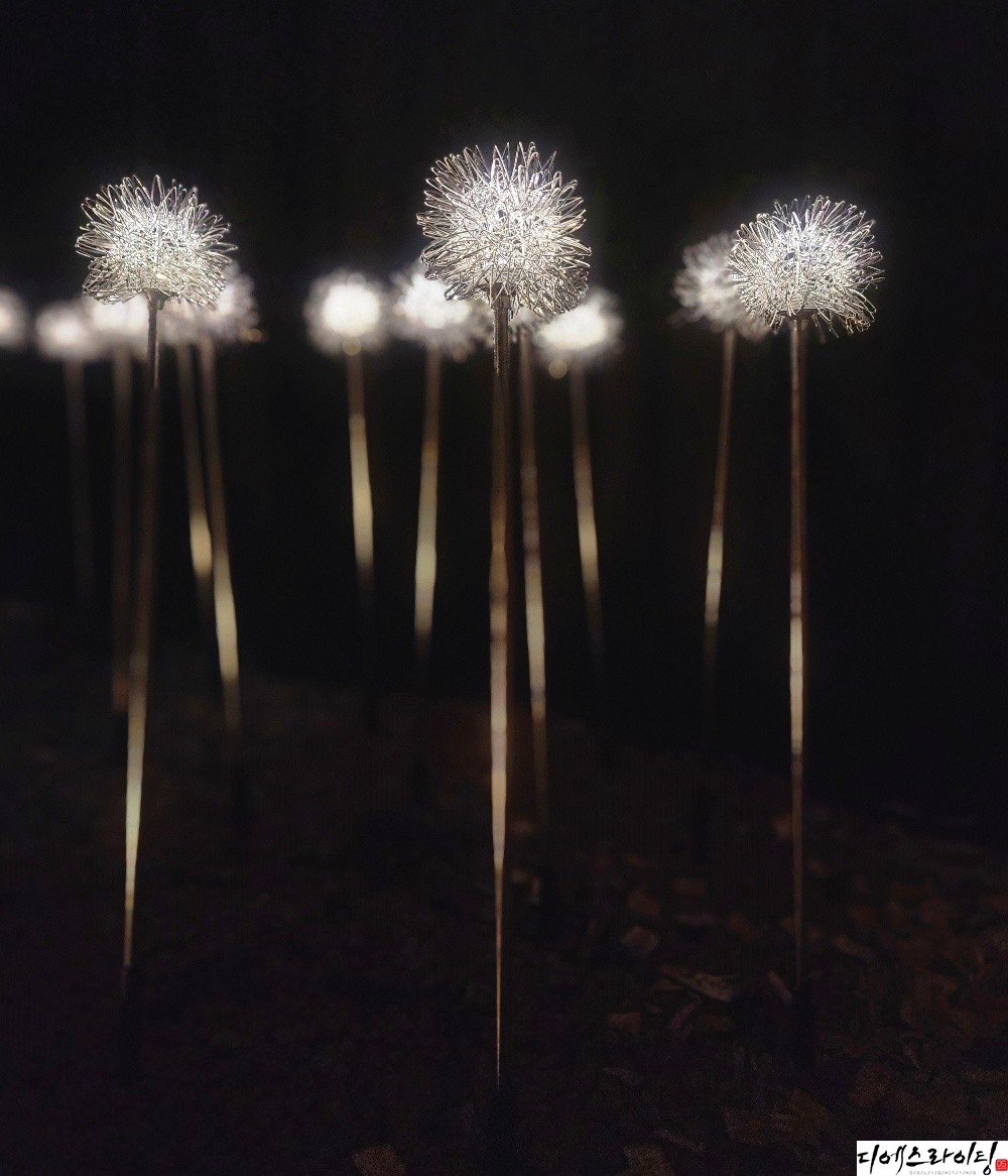led알리움