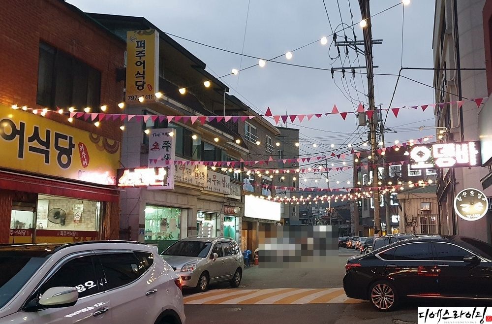 디에스라이팅