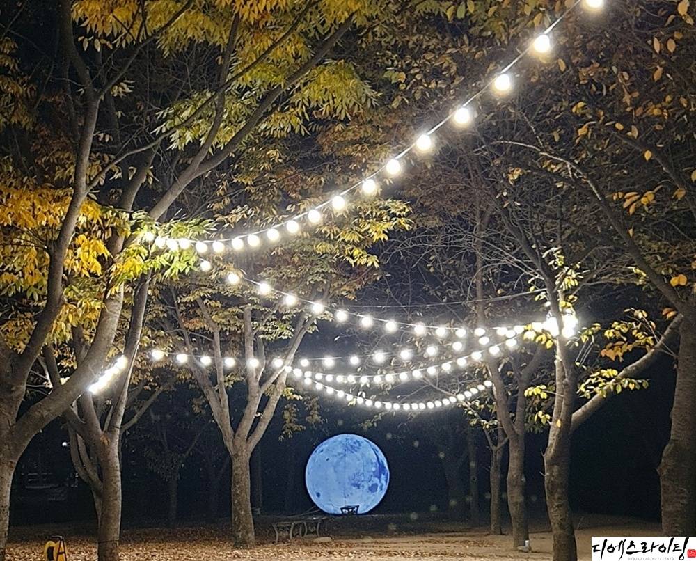 경산 알전구 설치 사례 대표사진