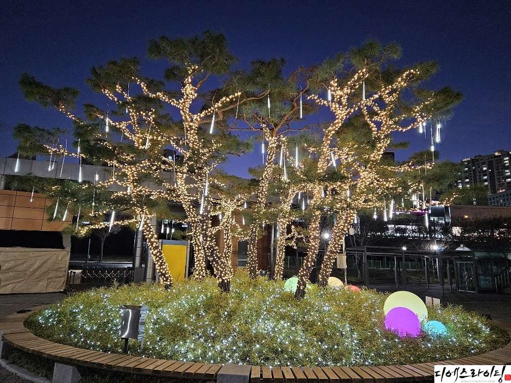 경정장