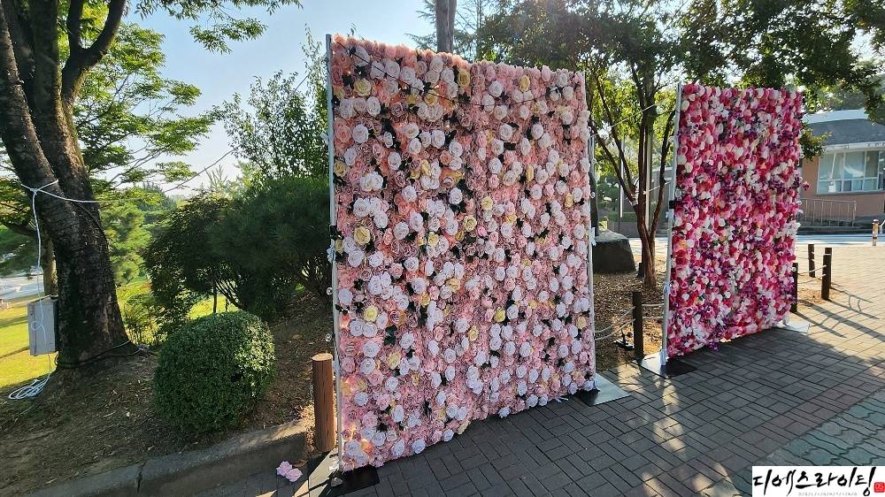 고려대 조화포토존 시공 대표사진