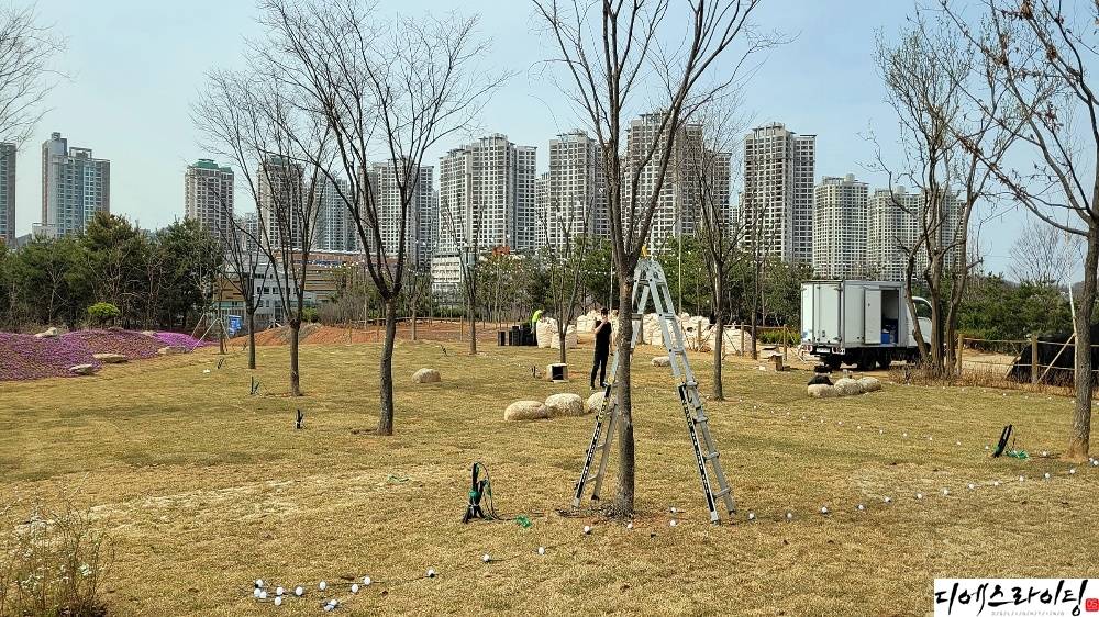공원 감성 알전구 배치 대표사진