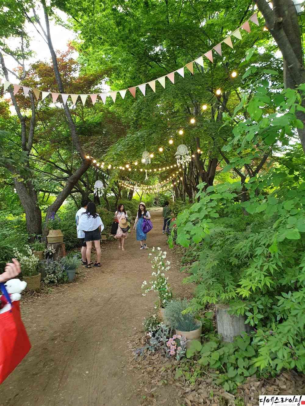 공원 감성 알전구 설치 대표사진