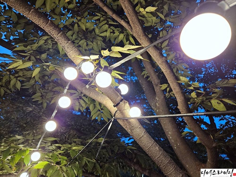 공원 라인 줄전구 잘하는 업체 대표사진