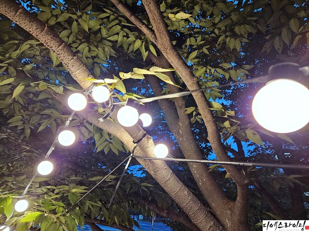 공원