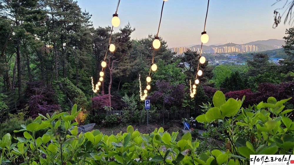 공원 라인 줄조명 조성 대표사진