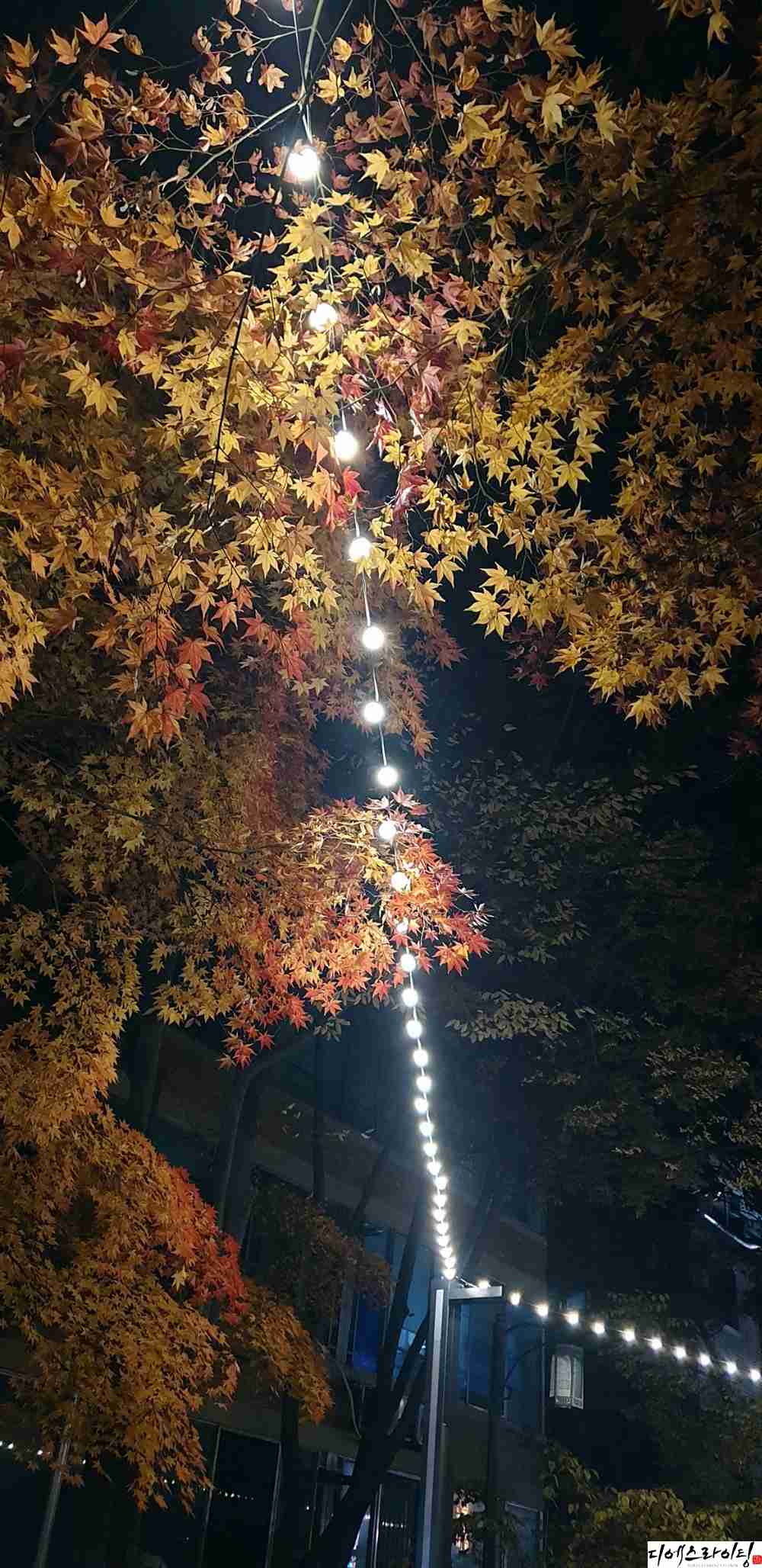 공원