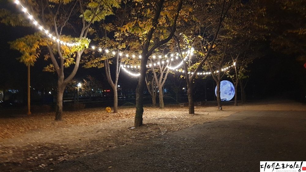 알전구