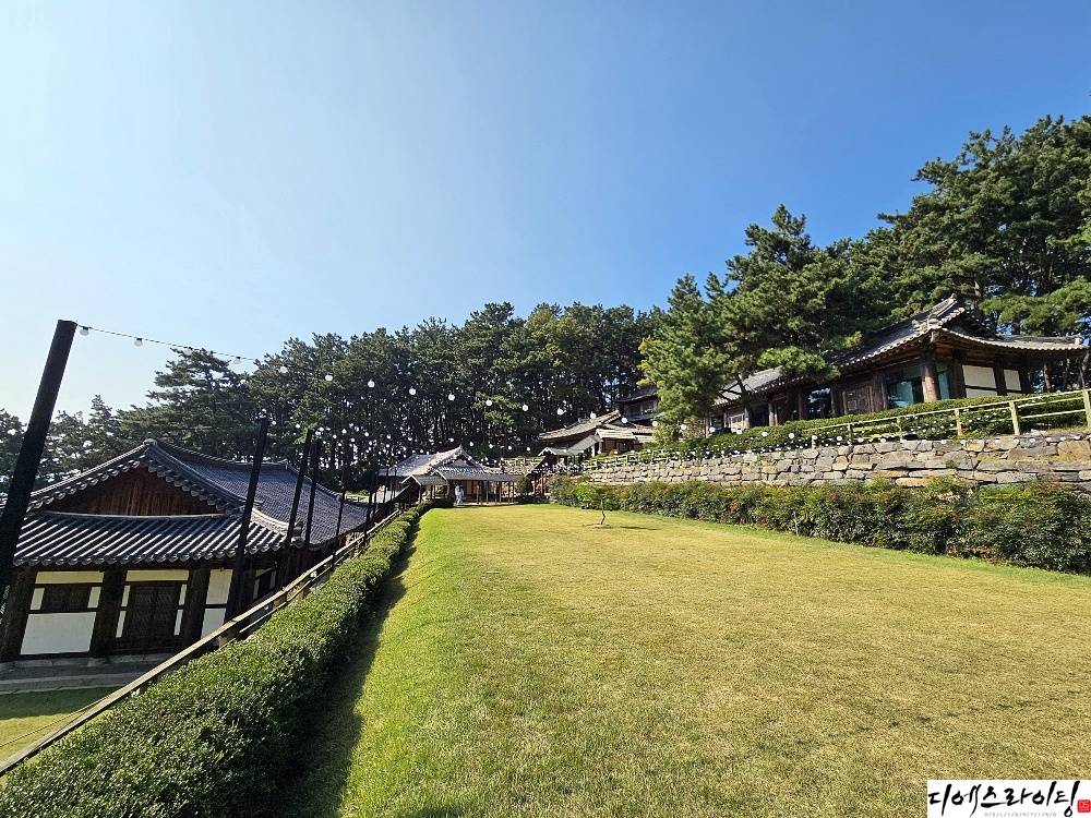 나무에