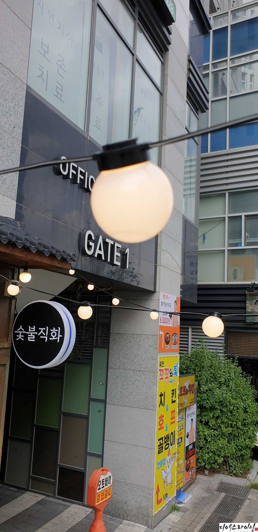 디에스라이팅