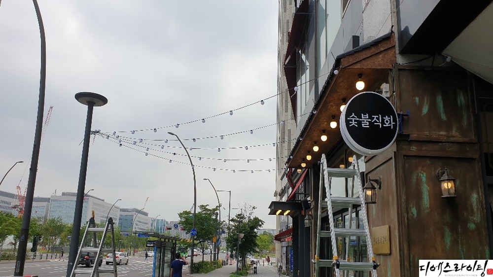 디에스라이팅