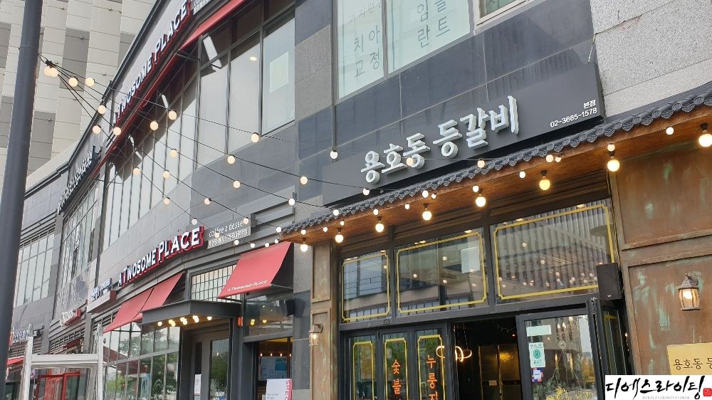 디에스라이팅