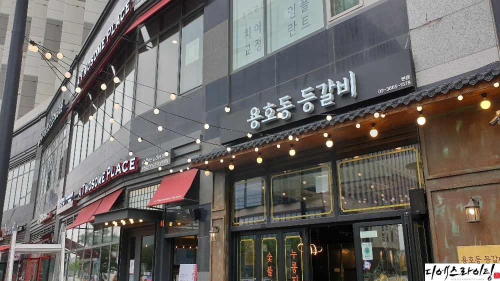 디에스라이팅
