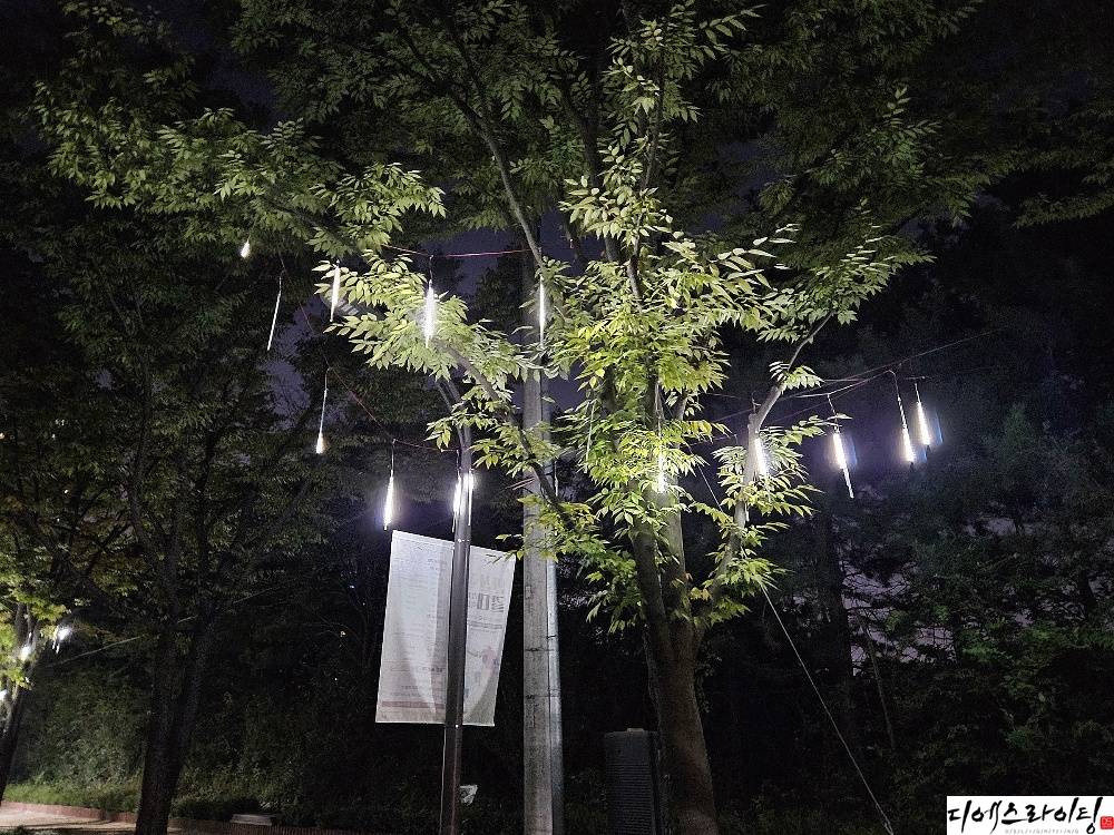 스노우폴