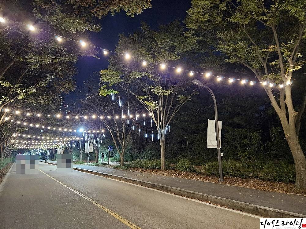 안산축제 오징어등 설치 대표사진