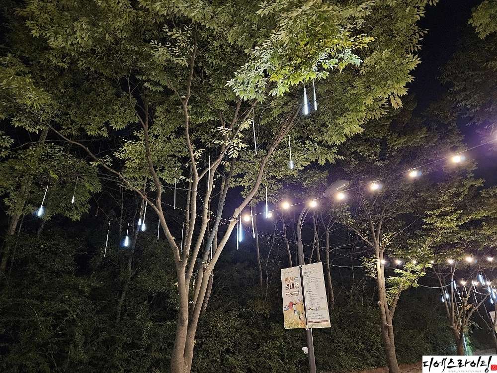 오징어