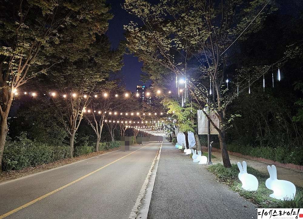 오징어등