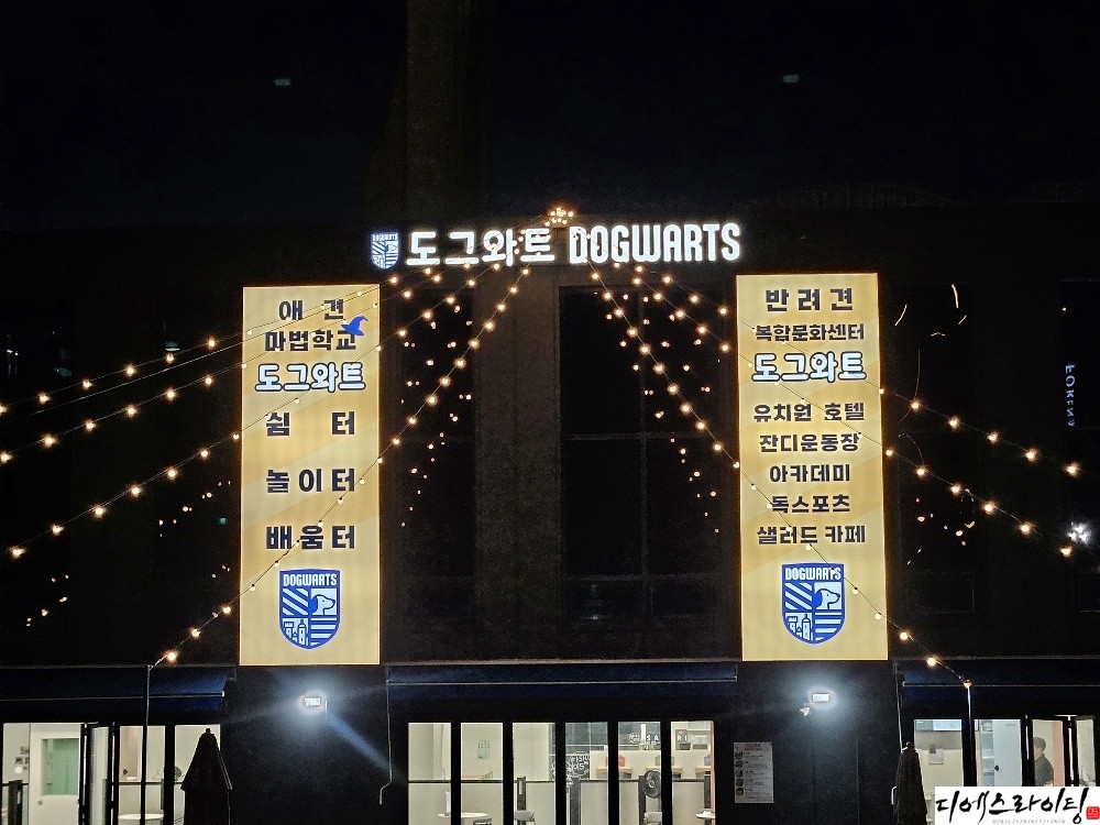 애견카페 알전구 시공 대표사진
