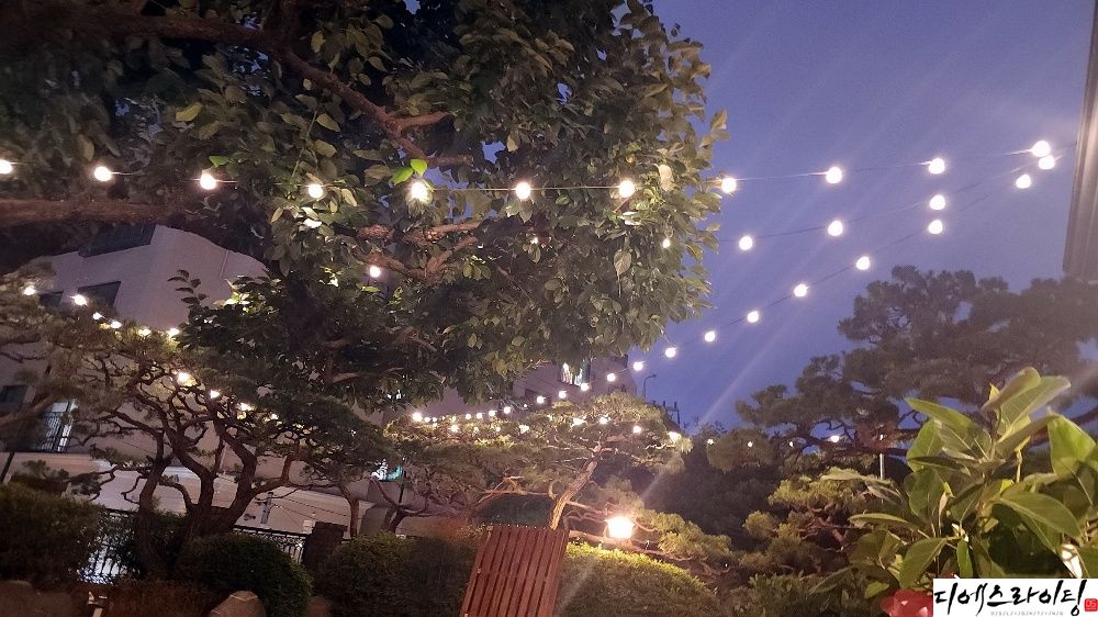 알전구