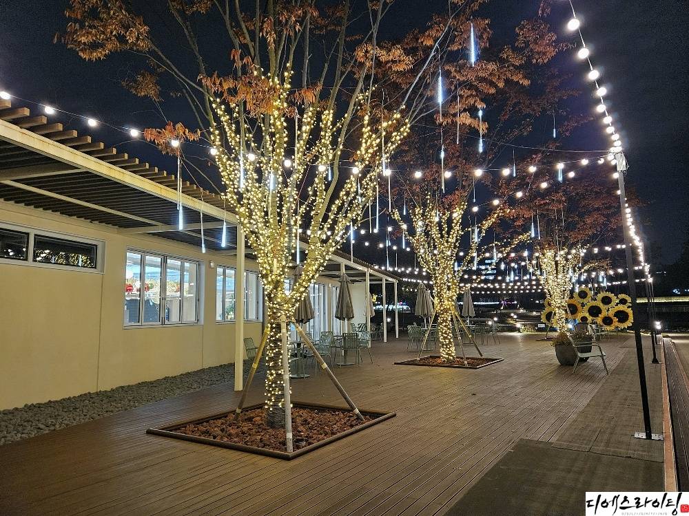 조명