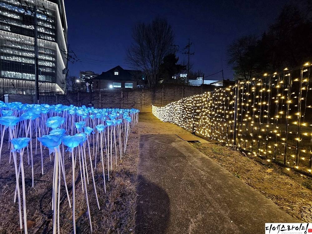 용산정원 led장미 설치 대표사진