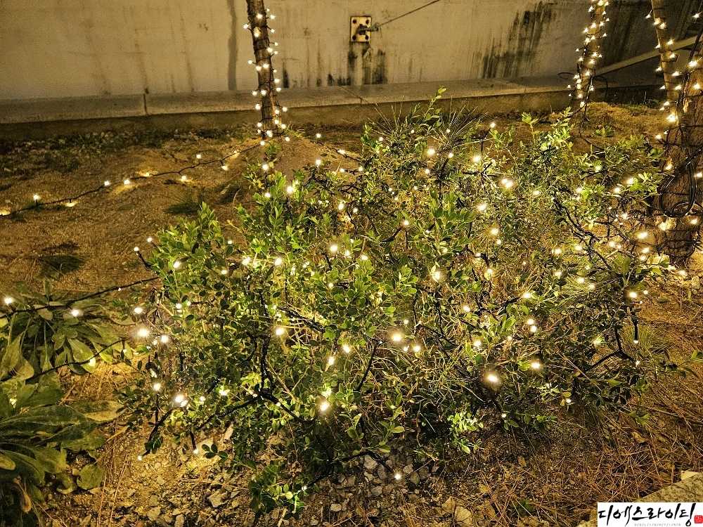전주 나무조명 공사 대표사진