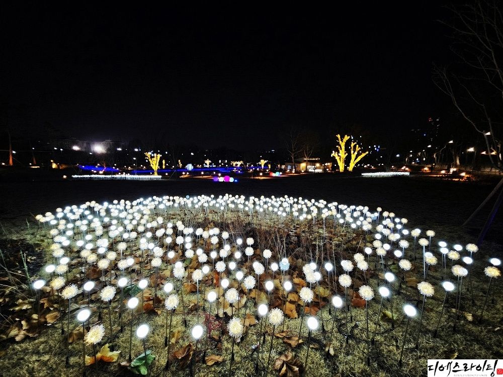 정원 LED조화 감성 연출 작업 대표사진