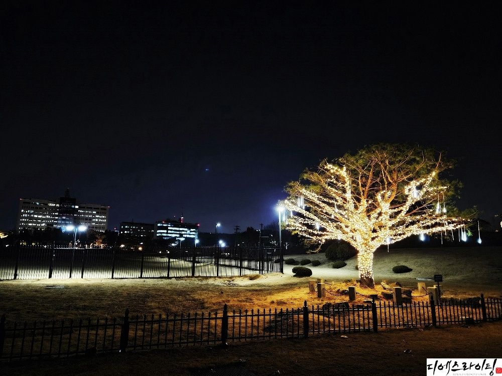 정원 은하수 크리스마스조명 전문 업체 대표사진