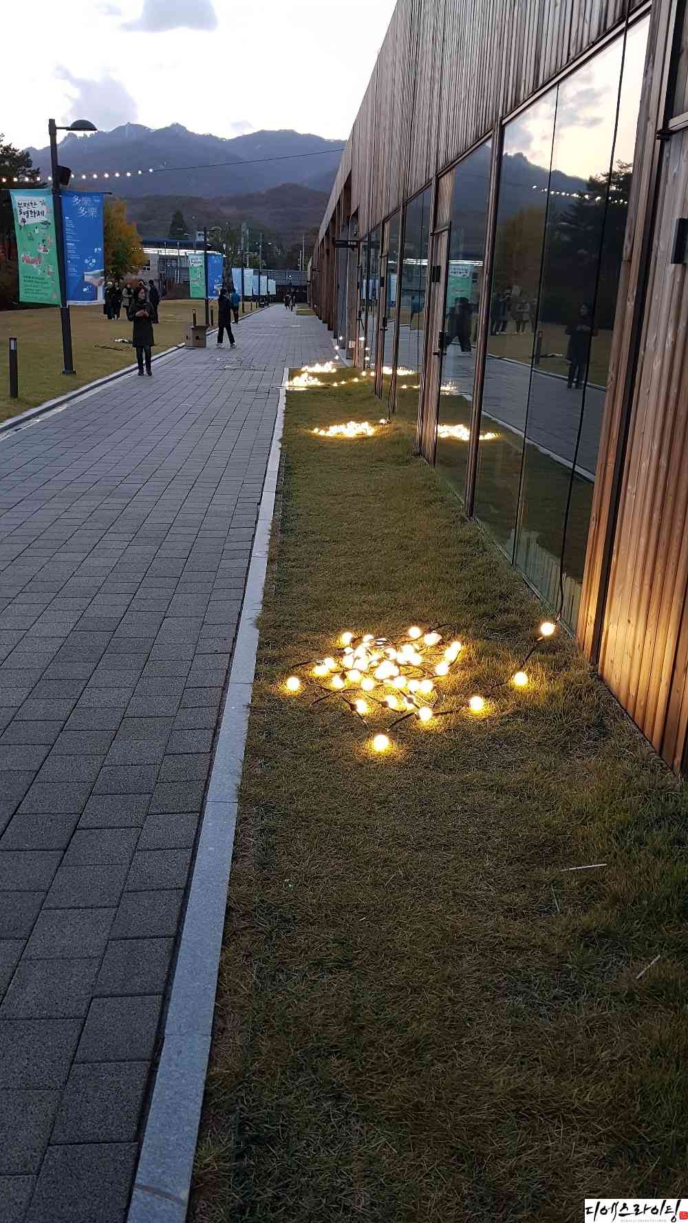 창포원 알전구 빛 연출 대표사진