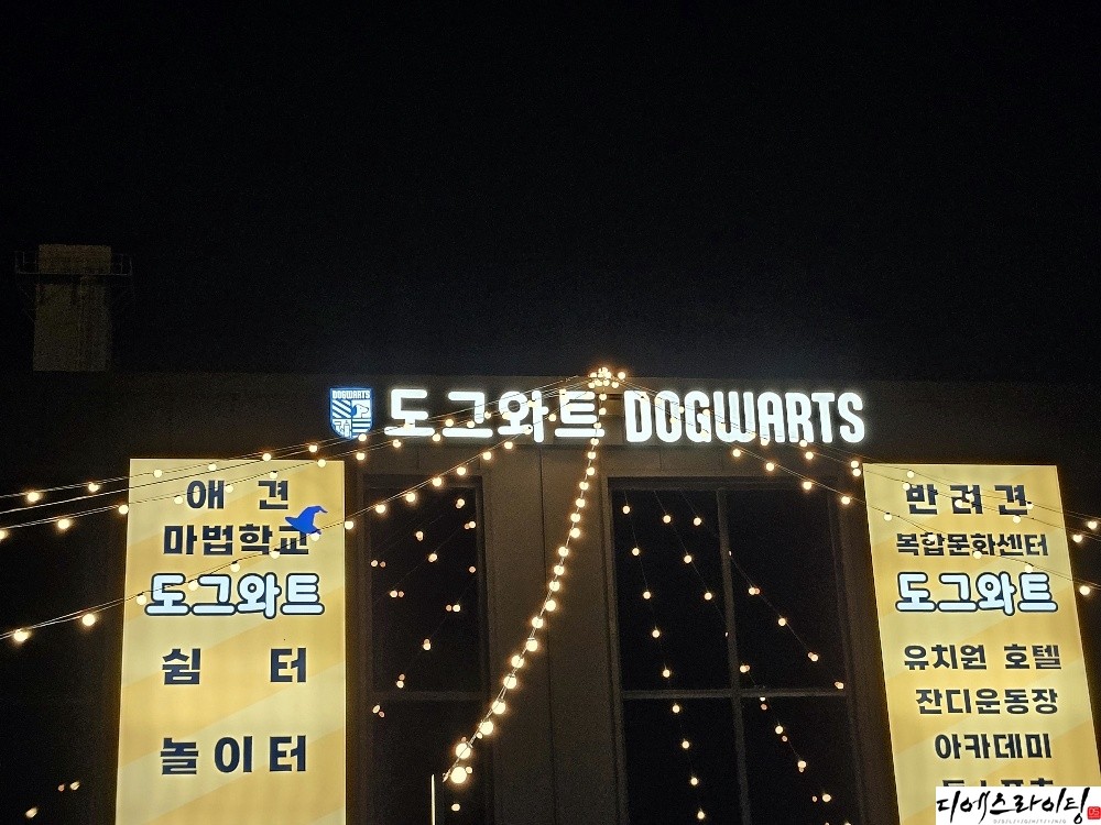 모던한