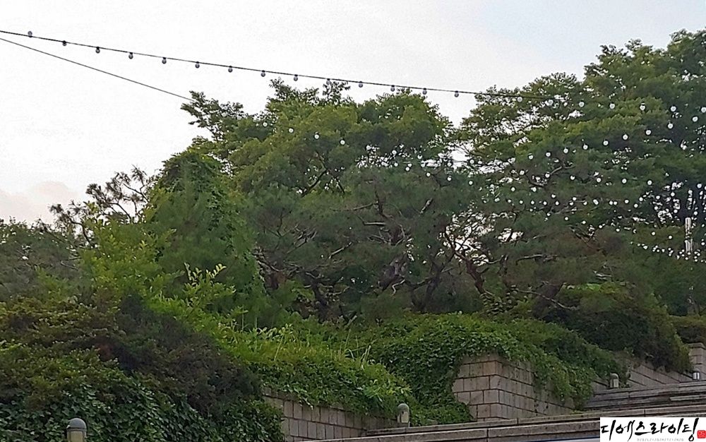 무대