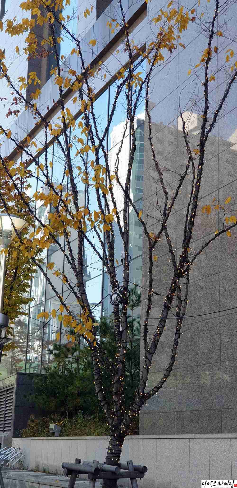 호텔